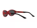 Polo Lunettes de Soleil PH 4197U 609187