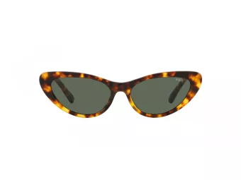 Polo Lunettes de Soleil PH 4199U 607871