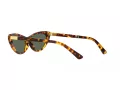 Polo Lunettes de Soleil PH 4199U 607871