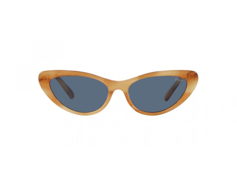Polo Lunettes de Soleil PH 4199U 607980