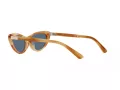 Polo Lunettes de Soleil PH 4199U 607980
