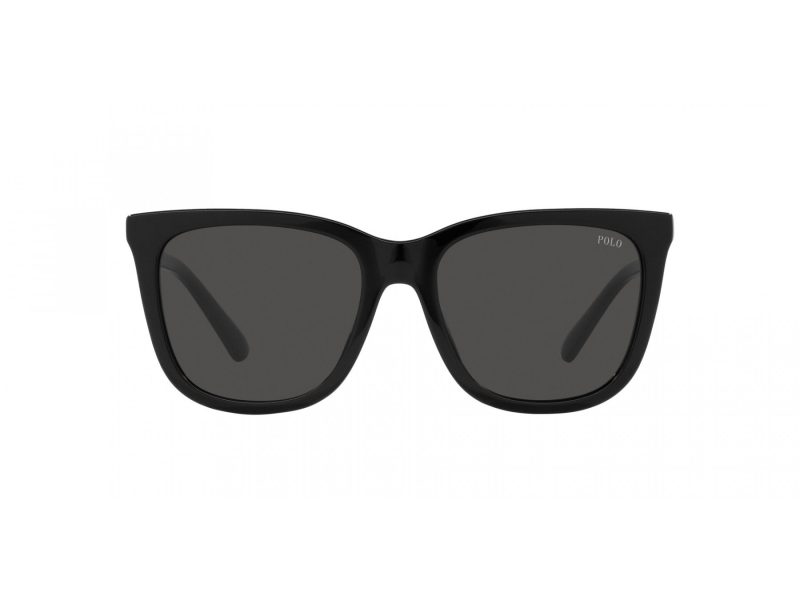Polo Lunettes de Soleil PH 4201U 500187