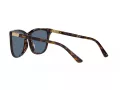 Polo Lunettes de Soleil PH 4201U 500380