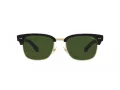 Polo Lunettes de Soleil PH 4202 500171