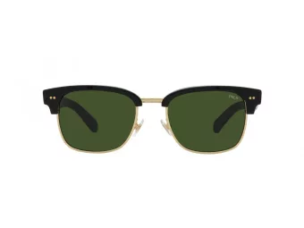 Polo Lunettes de Soleil PH 4202 500171