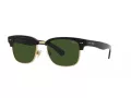 Polo Lunettes de Soleil PH 4202 500171