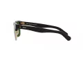 Polo Lunettes de Soleil PH 4202 500171