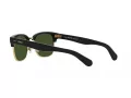 Polo Lunettes de Soleil PH 4202 500171