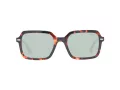 Pepe Jeans Lunettes de Soleil PJ 7405 106