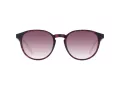 Pepe Jeans Lunettes de Soleil PJ 7430 106