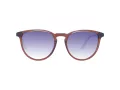 Pepe Jeans Lunettes de Soleil PJ 7432 196