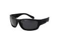 Polaroid Lunettes de Soleil PLD 2166/S 003M9