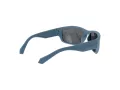 Polaroid Lunettes de Soleil PLD 2166/S FLL/M9