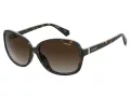 Polaroid Lunettes de Soleil PLD 4098/S 086/LA