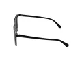 Polaroid Lunettes de Soleil PLD 4163/S 7C5/M9