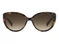 Polaroid Lunettes de Soleil PLD 4176/S/X 086/LA