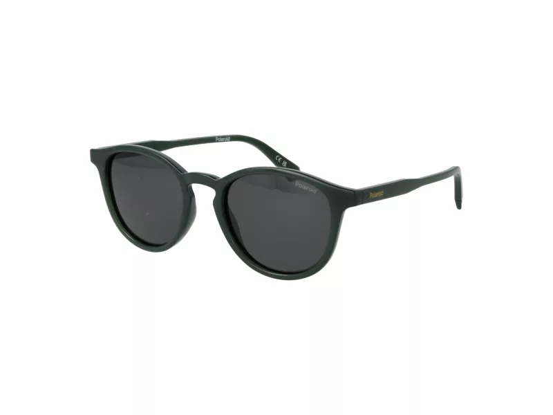 Polaroid Lunettes de Soleil PLD 4191/S 4C3/M9
