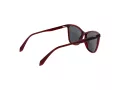Polaroid Lunettes de Soleil PLD 4194/S C9A/M9