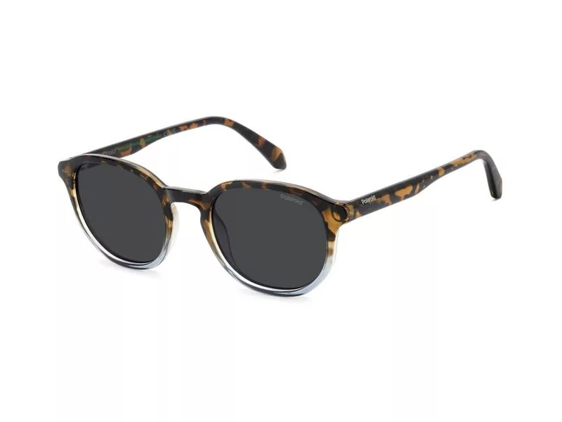 Polaroid Lunettes de Soleil PLD 4195/S IPR/M9