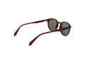 Polaroid Lunettes de Soleil PLD 4195/S QGL/UC