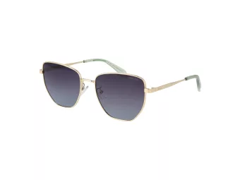 Polaroid Lunettes de Soleil PLD 4204/G/S/X J5G/WJ