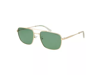 Polaroid Lunettes de Soleil PLD 4214/G/S/X PEF/UC