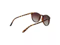 Polaroid Lunettes de Soleil PLD 6003/N/S V08/LA