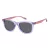 Polaroid Lunettes de Soleil PLD 8060/S 789/M9