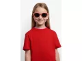Polaroid Lunettes de Soleil PLD 8065/S 1N5/M9
