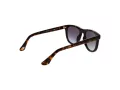 Police Lunettes de Soleil PL L87V 6E4V