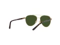 Polo Lunettes de Soleil PP 9001 9189/71