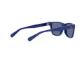 Polo Lunettes de Soleil PP 9504U 5235/80