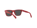 Polo Lunettes de Soleil PP 9504U 5257/87