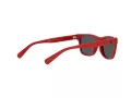 Polo Lunettes de Soleil PP 9504U 5257/87