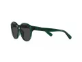 Polo Lunettes de Soleil PP 9505U 608487