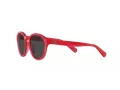 Polo Lunettes de Soleil PP 9505U 609787