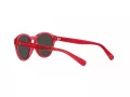 Polo Lunettes de Soleil PP 9505U 609787