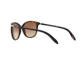 Ralph Ra5160 Lunettes de Soleil RA 5160 510/13