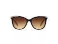 Ralph Lunettes de Soleil RA 5203 109013