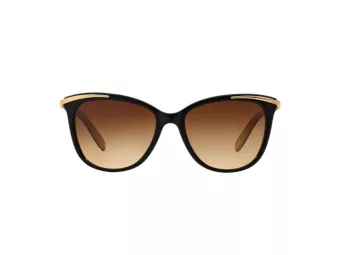 Ralph Lunettes de Soleil RA 5203 109013