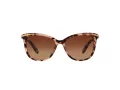 Ralph Lunettes de Soleil 5203 1463T5