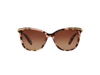 Ralph Lunettes de Soleil 5203 1463T5