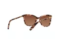 Ralph Lunettes de Soleil 5203 1463T5