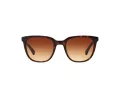 Ralph Lunettes de Soleil RA 5206 137813