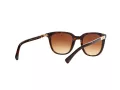 Ralph Lunettes de Soleil RA 5206 137813