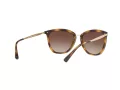 Ralph Lunettes de Soleil RA 5245 500313