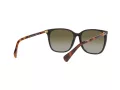 Ralph Vvcv Lunettes de Soleil RA 5293 60378E