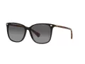 Ralph Vvcv Lunettes de Soleil RA 5293 6037T3