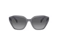 Ralph Lunettes de Soleil RA 5315U 6187T3