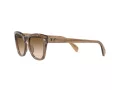 Ray-Ban Lunettes de Soleil RB 0707S 6640/51